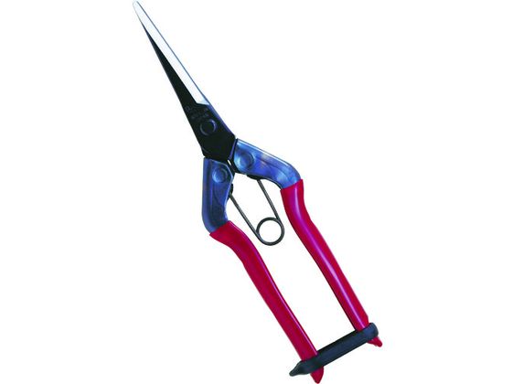 ߐ O 뒼n BP T-570