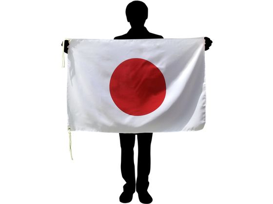 東京製旗 国旗No.1(70×105cm) イタリア 416125 通販【フォレスト