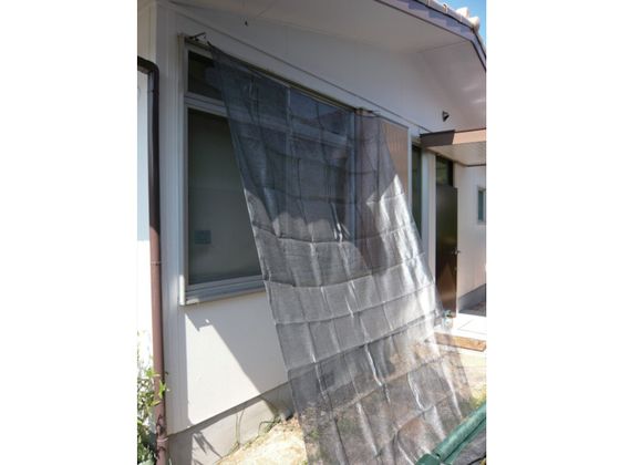 楽天市場】【エントリーでポイント10倍!!】40cm 40cm 49マス