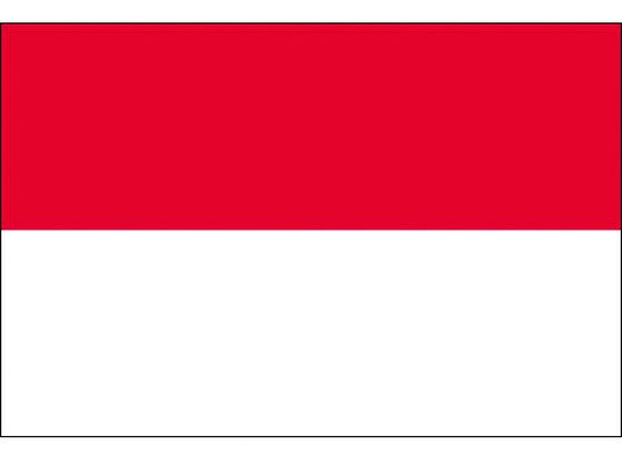 東京製旗 国旗No.1 70×105cm 大韓民国 416402 代引不可 東京製旗 国旗Ｎｏ．１（７０×１０５ｃｍ） 大韓民国 416402 64-8372
