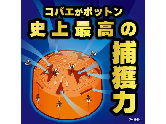 金鳥 コバエがポットン 置き型 2個入×12パック 通販【フォレスト 金鳥 コバエがポットン 置き型 2個入×12パック 通販【フォレスト
