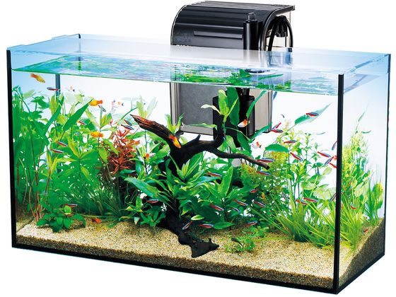 スペクトラムブランズジャパン テトラ オールグラスアクアリウム 520