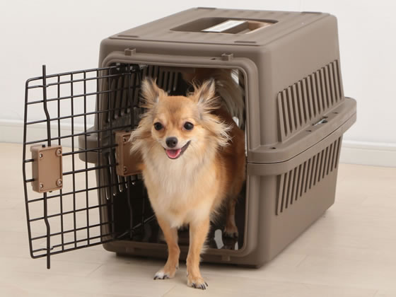 アイリスオーヤマ エアトラベルキャリー 超小型犬・猫用 ブラウン ATC