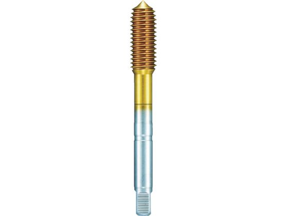 �O�[�����O �t���[�g���X�^�b�v ���� M12�~1.75 1017 M12.0X1.75