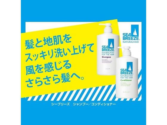 ファイントゥデイ シーブリーズ シャンプーf つめかえ用 400mL 通販