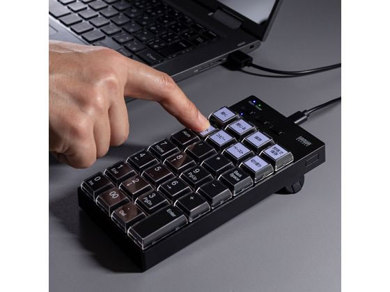 サンワサプライ プログラマブルテンキー 有線モデル NT-26UBK 通販