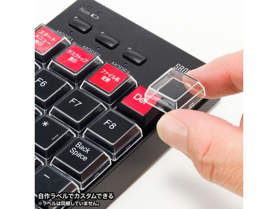 サンワサプライ プログラマブルテンキー 2.4GHzワイヤレスモデル NT
