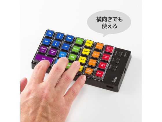 サンワサプライ プログラマブルテンキー 2.4GHzワイヤレスモデル NT