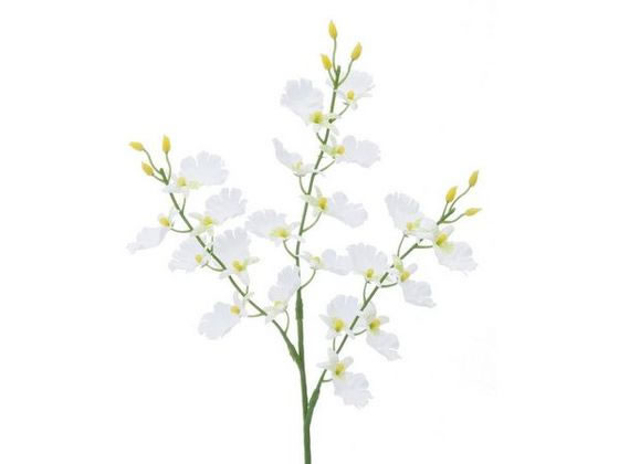 ●サイズ：全長３４ｃｍ・花径３．５〜４ｃｍ●注文単位：１本