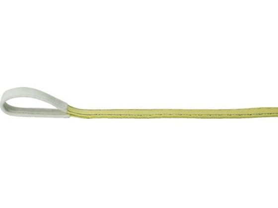 ●型番：TPS25-20●最大使用荷重（t）：0．8 ●全長（m）：2．0 ●ベルト寸法（mm）幅×厚さ：25×8●JISB8818規格品 ●使用温度：100℃以下 ●最大使用荷重：0．8t（ストレー