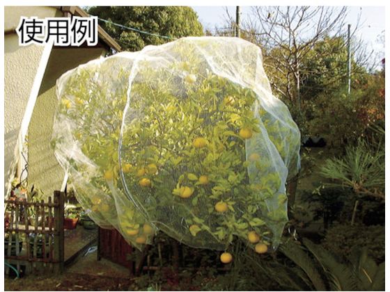 Dio 目立ちにくい透明鳥よけネット 2m×4m 白 252232 通販 Dio 目立ちにくい透明鳥よけネット 2m×4m 白 252232 通販