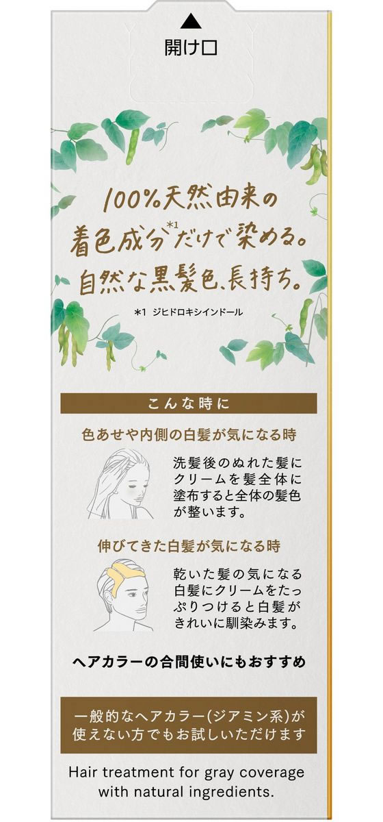 KAO ブローネ リライズ ナチュリラ カラートリートメント ナチュラル