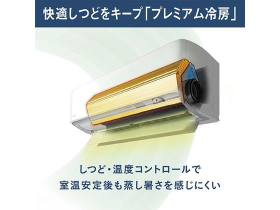 ダイキン 【標準工事付】10畳向け 自動お掃除付き 冷暖房省エネハイ
