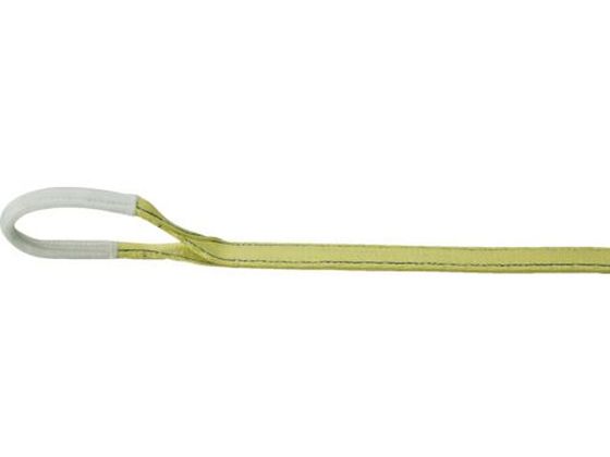 ●型番：TPS35-40●最大使用荷重（t）：1．25 ●全長（m）：4．0 ●ベルト寸法（mm）幅×厚さ：35×8●JISB8818規格品 ●使用温度：100℃以下 ●最大使用荷重：1．25t（スト