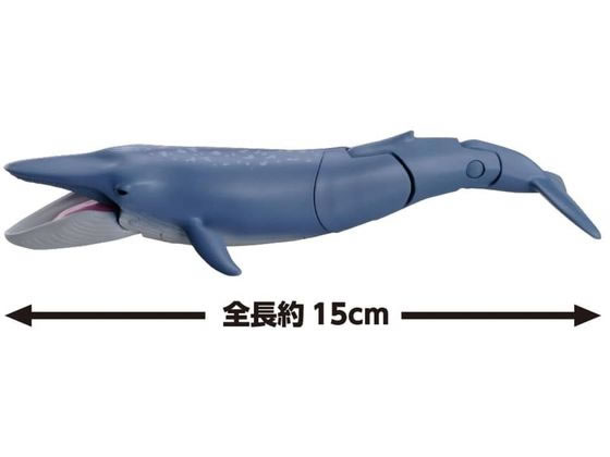 タカラトミー アニア AL-23 シロナガスクジラ(水に浮くVer.) 通販