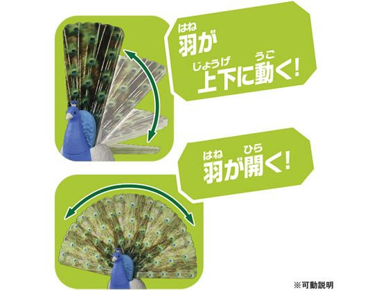 あんこ2400です！ostheimer ドイツ　木製　クジャク　ピーコック あんこ2400様専用です！ostheimer ドイツ 木製 クジャク ピーコック