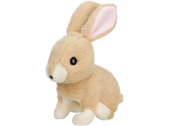 ワイルドイタリアン5袋　うさぎのみみ おみみパタパタこうさぎミミィ 通販【フォレストウェイ】