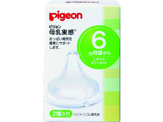 ピジョン 母乳実感乳首6ヵ月 Lサイズ2個入 Abzcreativepartners Com