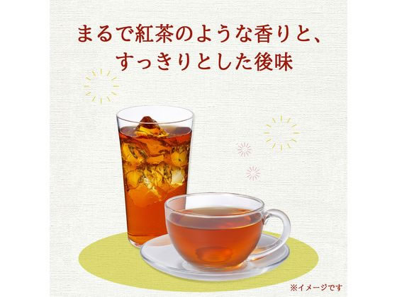 伊藤園 ヘルシールイボスティー ティーバッグ60袋 通販【フォレスト