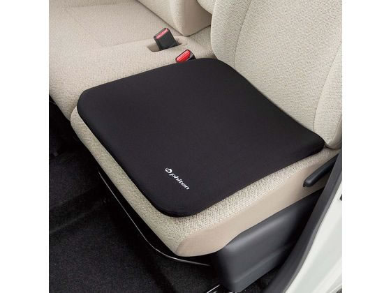 ボンフォーム ファイテン 45×45cm(角) BK 5815-02BK 通販【フォレスト