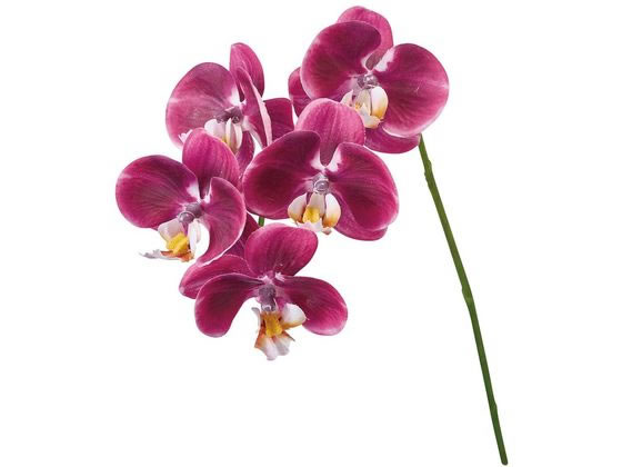 NISHIJIN COLLECTION – Flower MOUNTAIN