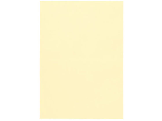 スマートバリュー カラー用紙 A4 特厚口 500枚 レモン A515J-6