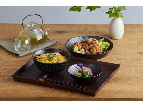 アイリスオーヤマ 食器5点セット ブラック MNW-5S 通販【フォレスト
