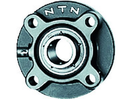NTN G ベアリングユニット（テーパ穴形アダプタ式）軸径75mm内輪径85mm全長250mm UKFC217D1 回転部品 【超歓迎された