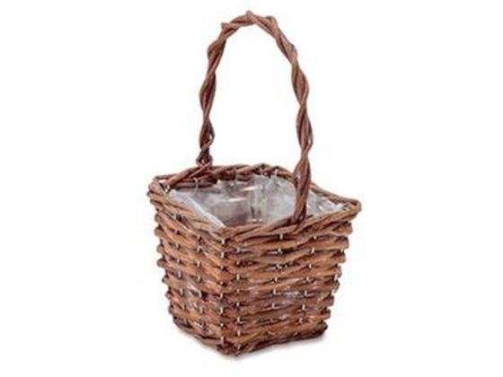 POSH LIVING K[foXPbg XNGAS 11603