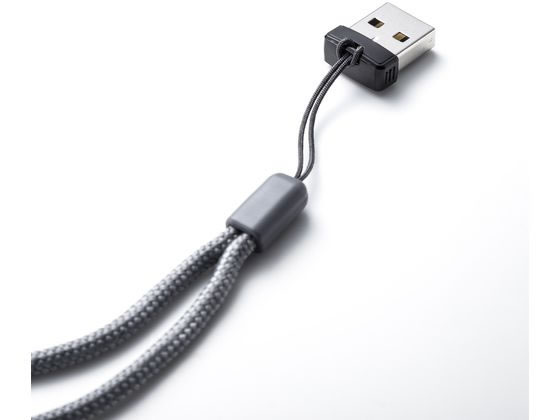 サンワサプライ 超小型USB2.0メモリ(16GB) UFD-2P16GBK 通販