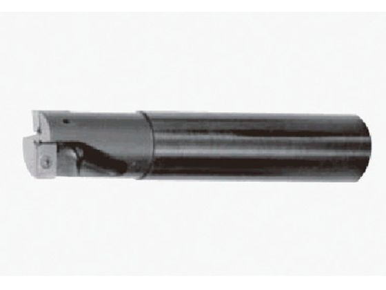 タンガロイ 柄付ＴＡＣミル EVX10020RS-
