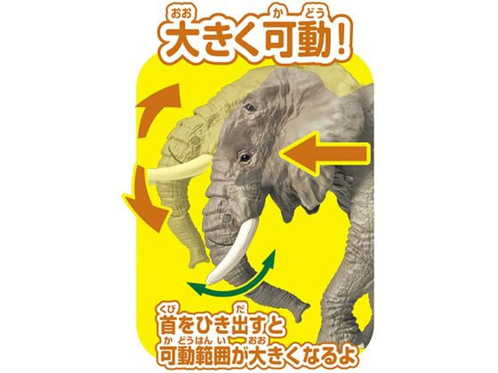 タカラトミー アニア AS-02 アフリカゾウ(オレンジ付き) 通販
