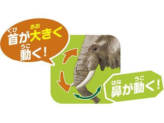 Takara Tomy - W☆新品☆アニア　アフリカゾウ☆AS-02☆図鑑カード付き アニア AS-02 アフリカゾウ(オレンジ付き)｜アニア アニマル