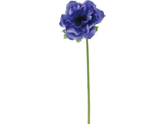 YDM  tAll u[