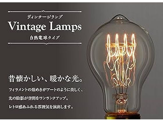 朝日電器 ビンテージランプ 長さ105mm 110V40WA60F1E26 通販