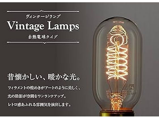 朝日電器 ビンテージランプ 長さ105mm 110V40WT45F5E26 通販 朝日電器 ビンテージランプ 長さ105mm 110V40WT45F5E26 通販
