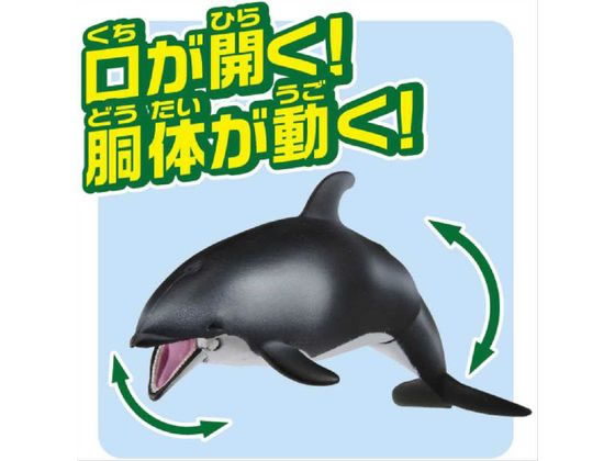タカラトミー アニア AS-19 カマイルカ(水に浮く) 通販