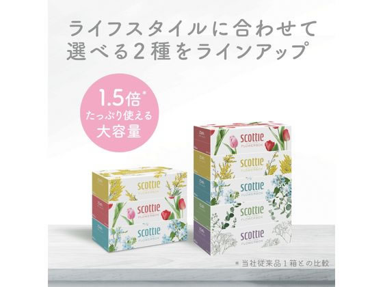 クレシア スコッティ ティッシュ フラワーボックス 250組 5個 通販