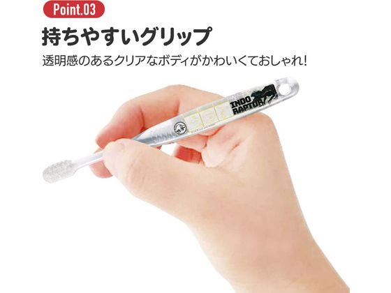 ごんぼです 61-+SBiaXwL._UF894,1000_QL80_.jpg
