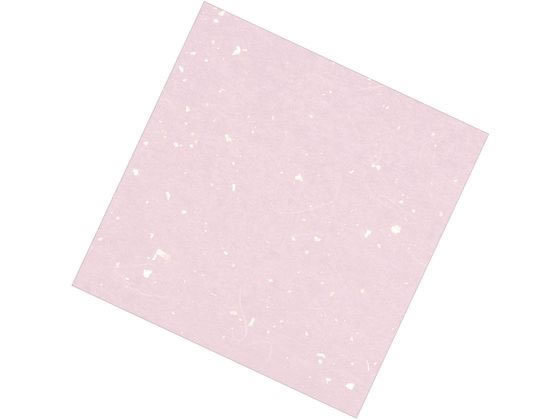 A[ebN  j[lG 4 100 NS-K24 sN