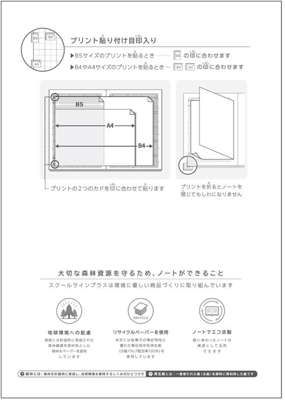 キョクトウ スクールラインプラス A4 Pノート5mm方眼罫A4 30枚 LAPP5B