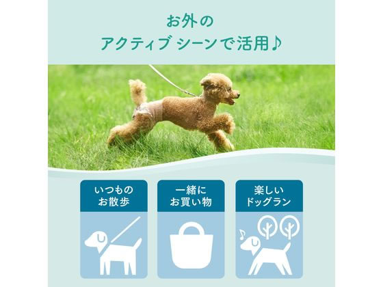 大王製紙 キミおもい アクティブウェア M-L 26枚 通販