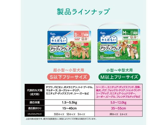 大王製紙 キミおもい アクティブウェア M-L 26枚 通販