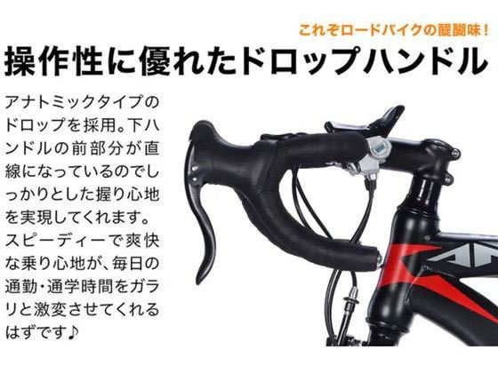 21Technology ロードバイク GT100S マットブラック レッド 通販