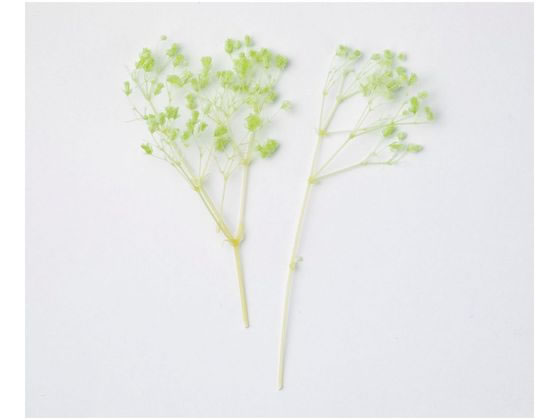 ●サイズ：約１２ｃｍ●重量：約１．３ｇ●材質：プリザーブドフラワー●注文単位：１袋●注意事項：グラム販売品について、グラム数はあくまで目安としてご覧ください。花びらの折れ、縮れ、多少の色味違いなどは良