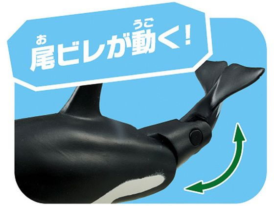 アニア アニア ジュラシック・ワールド シノケラトプス（アニアバトル