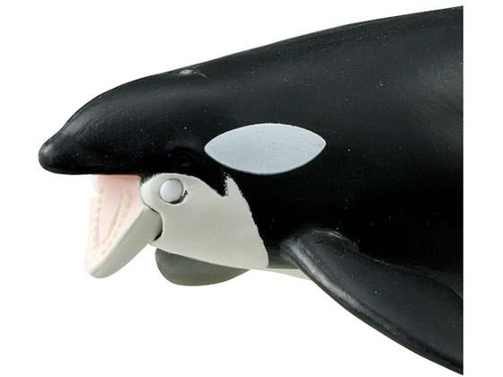 タカラトミー　アニア　什器 アニア｜おもちゃ・グッズの通販ならタカラトミーモール【タカラ