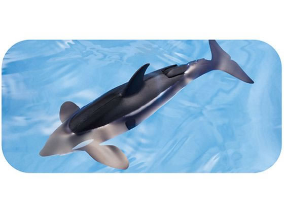 シャチ 油彩画 青色系 中谷時男 「ブルージュ」 油彩M80号 額付き - 一枚の繪