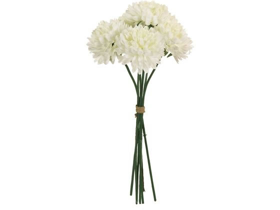   xG}sbN #1 WHITE zCg
