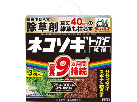 レインボー療法メソッド レインボー療法 | 須賀整骨院